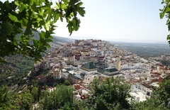 DSC00639a